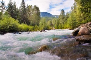 A Beautiful Flow