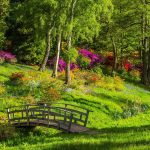Beloved Home