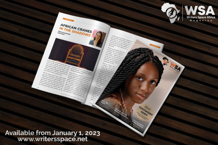 WSA Literary Magazine - January 2023 - Testimony Odey - Nigeria