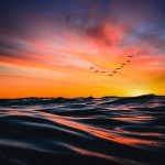 At Dawn